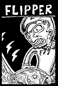 flipper